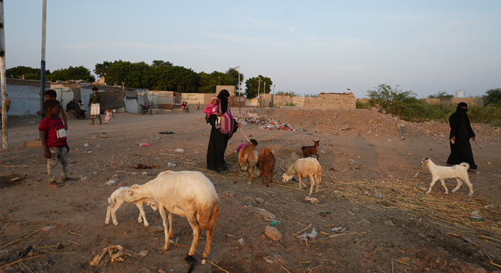 The Climate Crisis in Yemen Has a Disproportionate Effect on Women and Girls