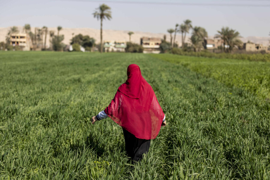 Ending FGM starts within communities—here’s who’s leading the way 