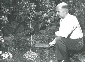 Russel Marker sourcing the Mexican Yam in Veracruz, Mexico © American Chemical Society
