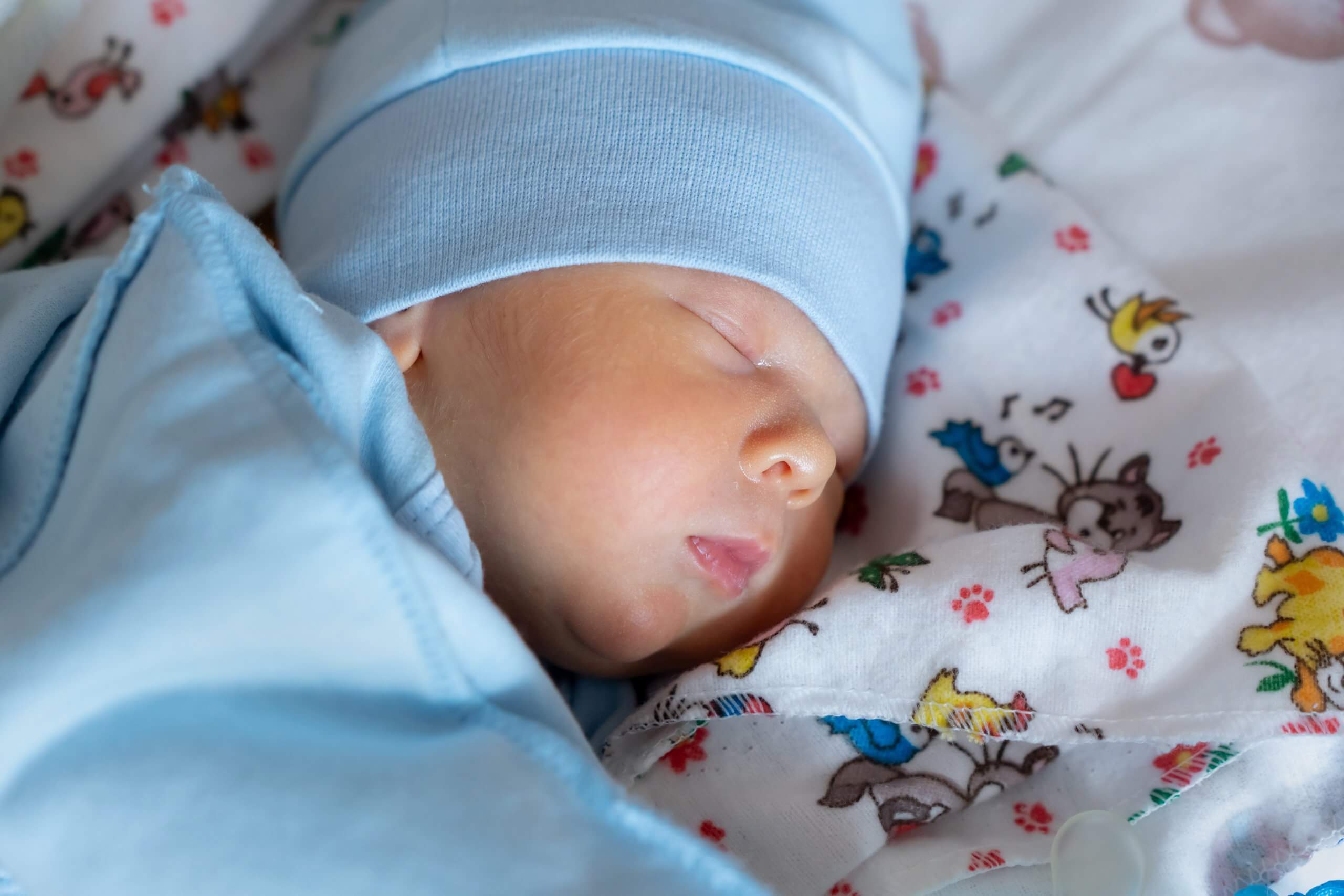 Born early on Ukraine’s front line: Maternity care under attack